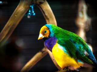 Covering the Full Color Palette [Audubon Butterfly Garden &amp; Insectarium - New Orleans, LA]
