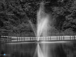 Jetspray [Aldridge Gardens - Hoover, AL]