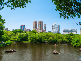 Park view of Manhattan [Central Park - New York City, NY]