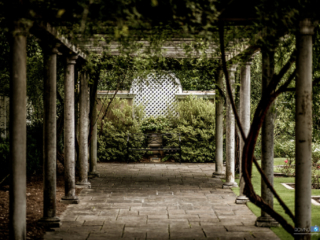 Courtyard Mood [Birmingham Botanical Gardens - Birmingham, AL]