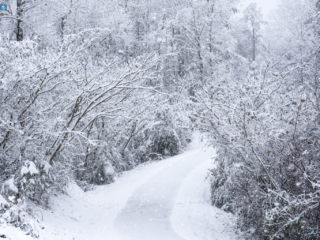 Winter&#039;s Trail [Helena, AL]