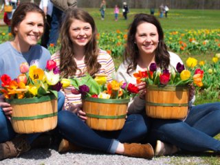 Visitors [American Village Tulip Festival - Montevallo, AL]